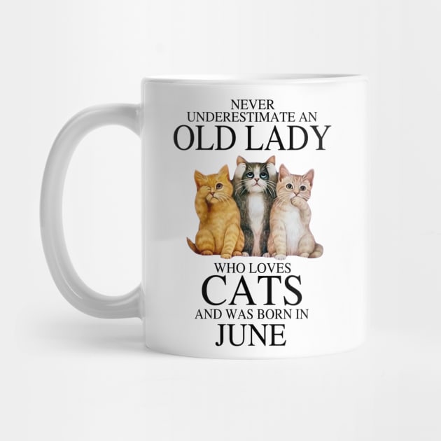 Never Underestimate An Old Lady Who Loves Cats June by louismcfarland